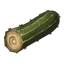 Cactus tubular fibroso