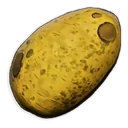 Patata