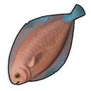 Lenguado del desierto crudo