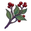 Bayas rojas