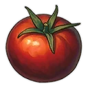 Tomate